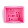 Word Winter Silicone Molds X-DIY-R078-24-2