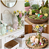 10Pcs Natural & Synthetic Gemstone Egg Display Decorations G-TA0003-43-8