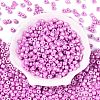 Baking Paint Pearlized Glass Seed Beads SEED-T008-03M-2