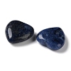 Natural Sodalite Heart Palm Stones G-M416-09E-2