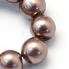 Baking Painted Pearlized Glass Pearl Round Bead Strands X-HY-Q003-10mm-78-3