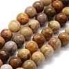 Natural Fossil Coral Beads Strands X-G-G763-12-8mm-4
