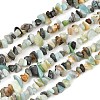 Natural Flower Amazonite Beads Strands G-F834-A01-01-2