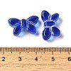 Transparent Lampwork Beads LAMP-P065-02A-14-3