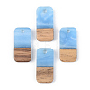 Resin & Walnut Wood Pendants RESI-S389-044A-2