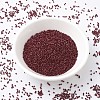 MIYUKI Delica Beads X-SEED-J020-DB2119-2
