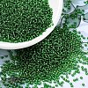 MIYUKI Round Rocailles Beads X-SEED-G007-RR0016-1
