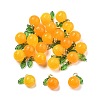 Dyed Natural Agate Orange Charms G-U025-07G-1