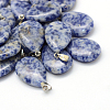 Teardrop Natural Blue Spot Jasper Pendants G-Q368-15-1