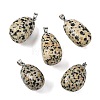 Natural Dalmatian Jasper Tumbled Stone Pendants GG-K002-06L-1