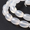 Natural White Agate Beads Strands G-C247-01A-5