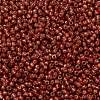 TOHO Round Seed Beads SEED-TR11-PF2113-2