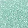 8/0 Glass Seed Beads SEED-A015-3mm-2213-2