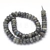 Natural Labradorite Rondelle Bead Strands G-O095-05-G-3