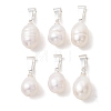 Natural Cultured Freshwater Pearl Pendants PALLOY-JF05465-02-1