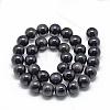 Natural Obsidian Beads Strands G-R446-16mm-27-2