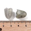 Natural Labradorite Beads G-A222-03G-3