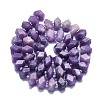 Natural Lepidolite/Purple Mica Stone Beads Strands G-K245-G02-04-2