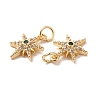 Rack Plating Brass Micro Pave Cubic Zirconia Pendants LS-KK-E081-10G-3
