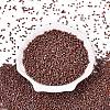 Picasso Glass Seed Beads GL-N001-01A-10-2