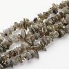 Natural Labradorite Chips Beads Strands X-F069-1