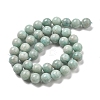 Natural Amazonite Beads Strands G-L618-A01-10mm-3