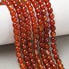 Natural Agate Beads Strands G-C082-A01-61-5