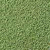 TOHO Round Seed Beads SEED-JPTR15-0945-2