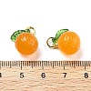Dyed Natural Agate Orange Charms G-U025-07G-4