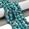 Natural Turquoise Beads Strands X-G-P497-01E-91-2