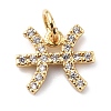 Brass Micro Pave Cubic Zirconia Charms X-ZIRC-F131-16G-12-1