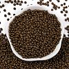 8/0 Baking Paint Glass Seed Beads X1-SEED-M012-02A-53-2
