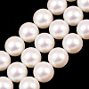 Electroplated Glass Pearl Graduated Beads Strands BSHE-C011-03A-2
