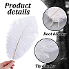 72Pcs 3 Styles Ostrich Feather Craft for Wedding Party Centerpieces Home Decoration DIY-GA0009-95-3