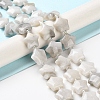 Natural White Crazy Agate Beads Strands G-NH0005-019-2
