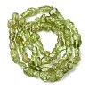 Natural Peridot Beads Strands G-H346-A01-01-3