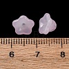 Baking Paint Transparent Glass Beads GLAA-T025-81C-05-3