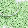 Baking Paint Glass Seed Beads X1-SEED-K010-A18-1