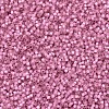MIYUKI Delica Beads SEED-MY11-DB0625-3