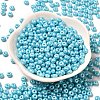 Baking Paint Luster Glass Seed Beads SEED-B001-04A-03-2