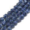 Synthetic Sesame Jasper/Kiwi Jasper Beads Strands G-S300-127-10mm-1