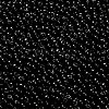 MIYUKI 3.4mm Drop Beads X-SEED-MY04-DP401-2