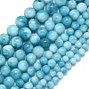 Natural Malaysia Jade Beads Strands G-B165-C09-12mm-4