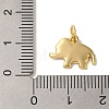 Rack Plating Brass Enamel Charms KK-L220-024G-02-3