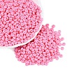 Opaque Glass Seed Beads SEED-N012-09A-11-1