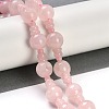 Natural Rose Quartz 3-Hole Guru Beads Strands G-H064-E01-01-2