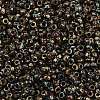 MIYUKI Round Rocailles Beads X-SEED-G010-RR4503-2