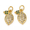Brass Micro Pave Cubic Zirconia Charms ZIRC-L093-18G-2