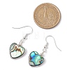 Abalone Shell/Paua Shell Dangle Earrings EJEW-JE06208-3