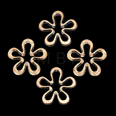 Transparent Acrylic Beads AC-N166-10F-1